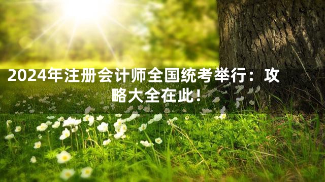 2024年注册会计师全国统考举行：攻略大全在此！
