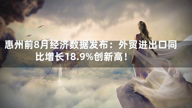 惠州前8月经济数据发布：外贸进出口同比增长18.9%创新高！