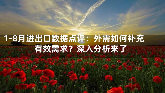 1-8月进出口数据点评：外需如何补充有效需求？深入分析来了
