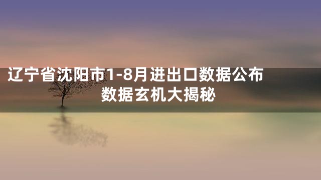 辽宁省沈阳市1-8月进出口数据公布 数据玄机大揭秘