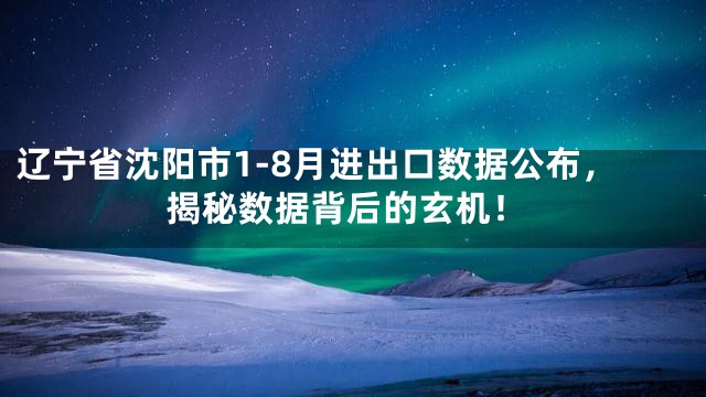 辽宁省沈阳市1-8月进出口数据公布，揭秘数据背后的玄机！