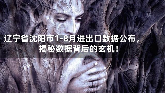 辽宁省沈阳市1-8月进出口数据公布，揭秘数据背后的玄机！