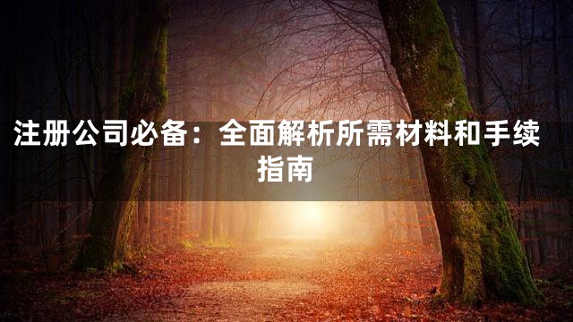 注册公司必备：全面解析所需材料和手续指南