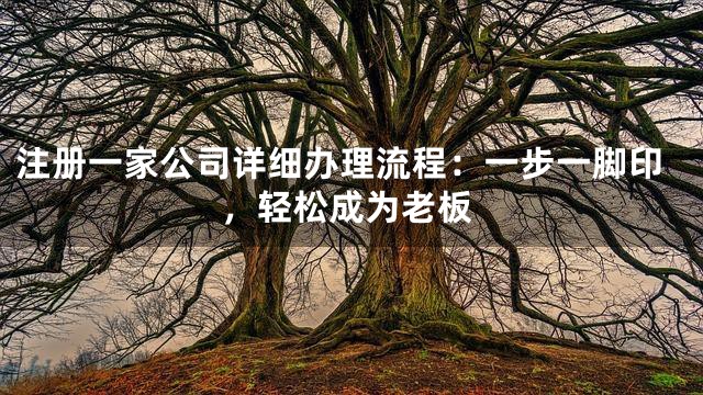 注册一家公司详细办理流程：一步一脚印，轻松成为老板