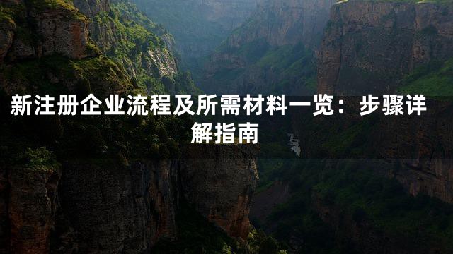 新注册企业流程及所需材料一览：步骤详解指南