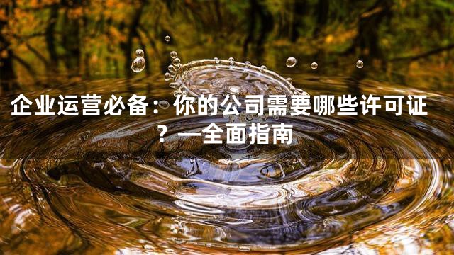 企业运营必备：你的公司需要哪些许可证？—全面指南