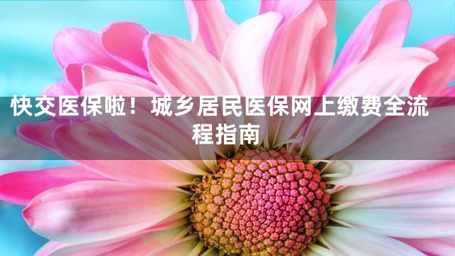 快交医保啦！城乡居民医保网上缴费全流程指南