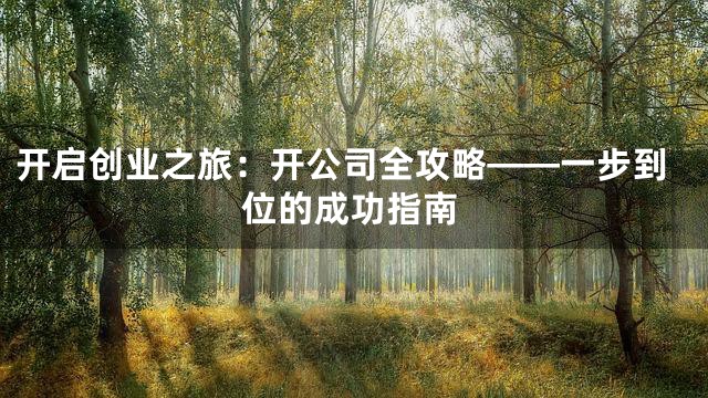开启创业之旅：开公司全攻略——一步到位的成功指南