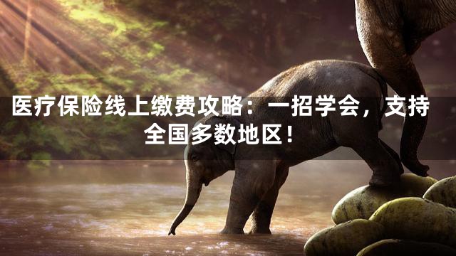 医疗保险线上缴费攻略：一招学会，支持全国多数地区！