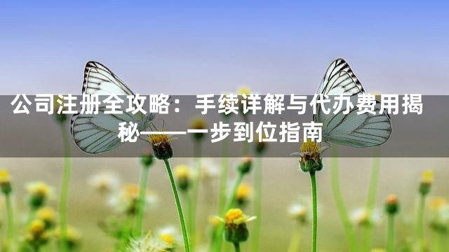 公司注册全攻略：手续详解与代办费用揭秘——一步到位指南