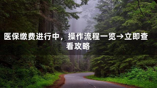 医保缴费进行中，操作流程一览→立即查看攻略