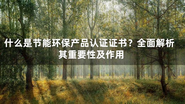 什么是节能环保产品认证证书？全面解析其重要性及作用