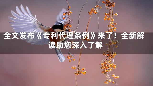 全文发布《专利代理条例》来了！全新解读助您深入了解