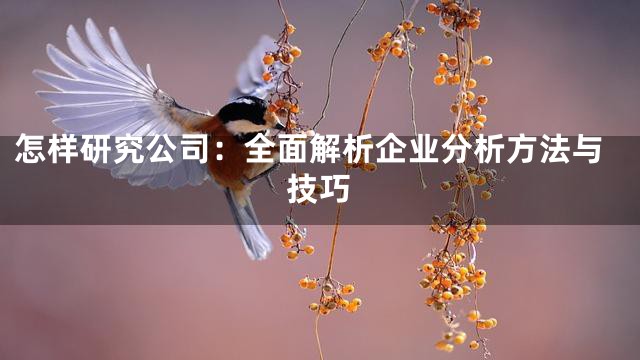 怎样研究公司：全面解析企业分析方法与技巧