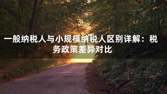 一般纳税人与小规模纳税人区别详解：税务政策差异对比