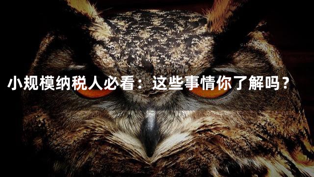 小规模纳税人必看：这些事情你了解吗？