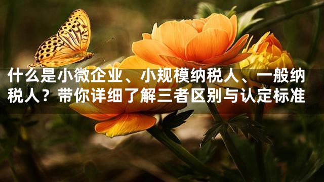 什么是小微企业、小规模纳税人、一般纳税人？带你详细了解三者区别与认定标准