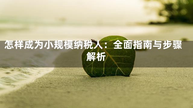 怎样成为小规模纳税人：全面指南与步骤解析