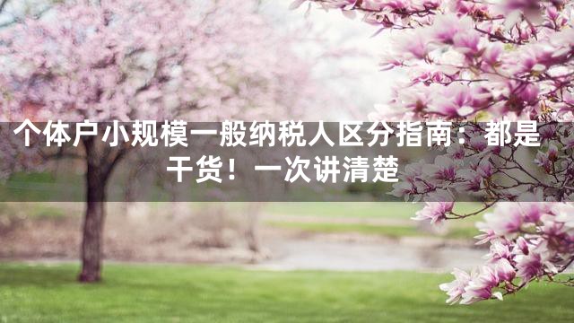 个体户小规模一般纳税人区分指南：都是干货！一次讲清楚