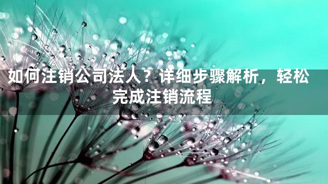 如何注销公司法人？详细步骤解析，轻松完成注销流程