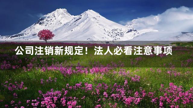 公司注销新规定！法人必看注意事项