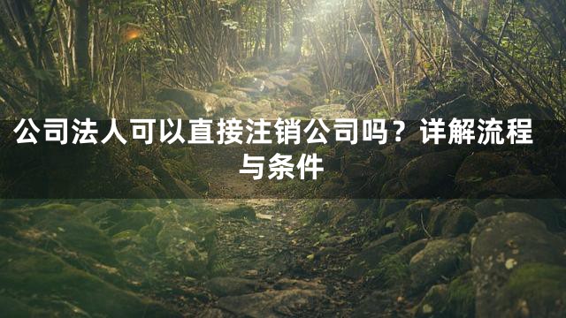 公司法人可以直接注销公司吗？详解流程与条件