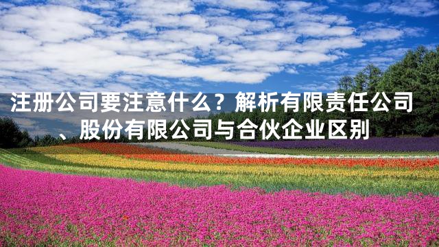 注册公司要注意什么？解析有限责任公司、股份有限公司与合伙企业区别