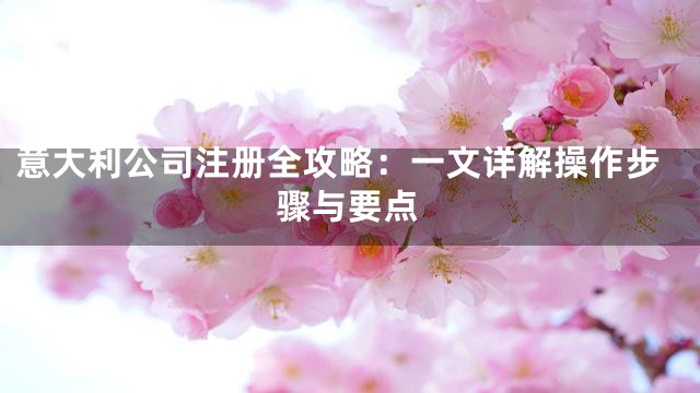 意大利公司注册全攻略：一文详解操作步骤与要点