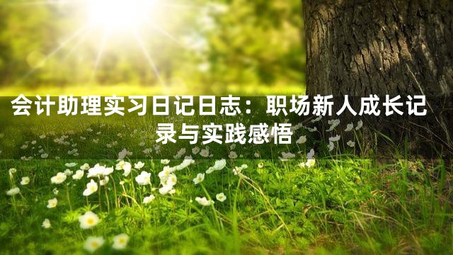会计助理实习日记日志：职场新人成长记录与实践感悟