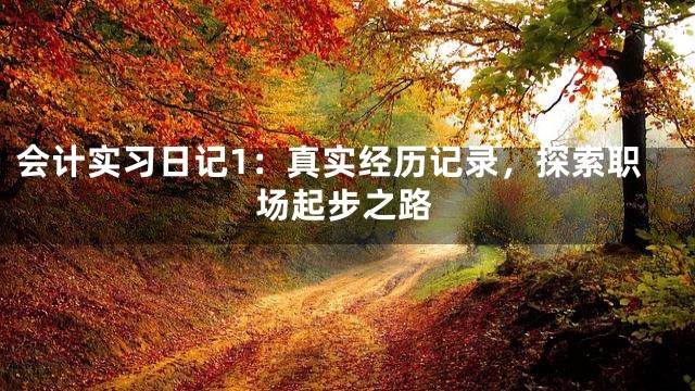 会计实习日记1：真实经历记录，探索职场起步之路