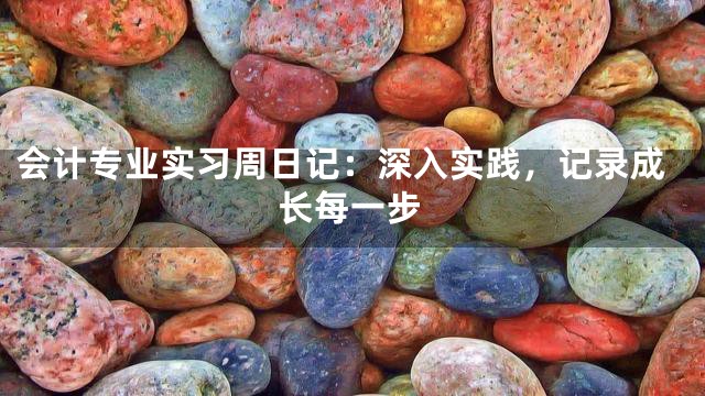 会计专业实习周日记：深入实践，记录成长每一步