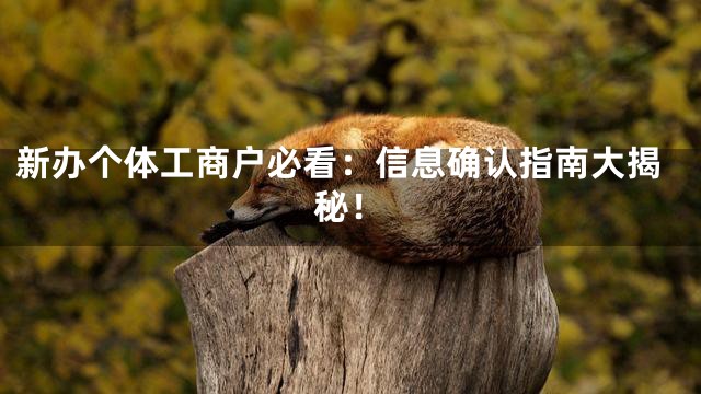 新办个体工商户必看：信息确认指南大揭秘！