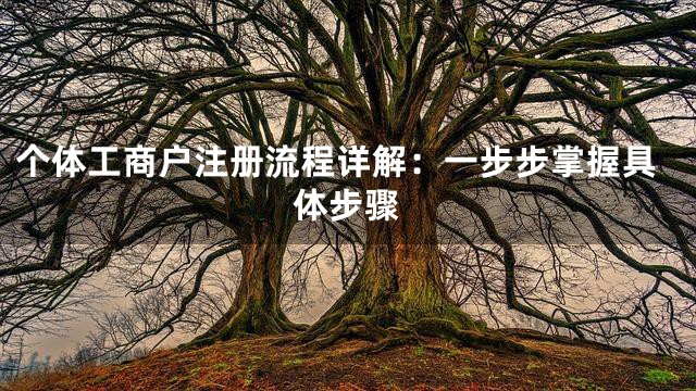 个体工商户注册流程详解：一步步掌握具体步骤