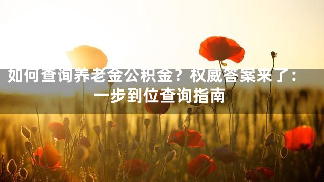 如何查询养老金公积金？权威答案来了：一步到位查询指南