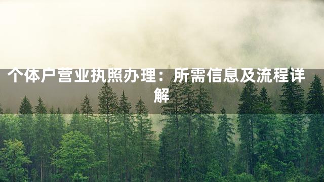 个体户营业执照办理：所需信息及流程详解