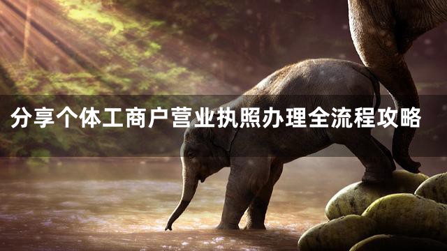 分享个体工商户营业执照办理全流程攻略