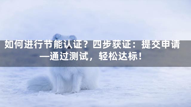 如何进行节能认证？四步获证：提交申请—通过测试，轻松达标！