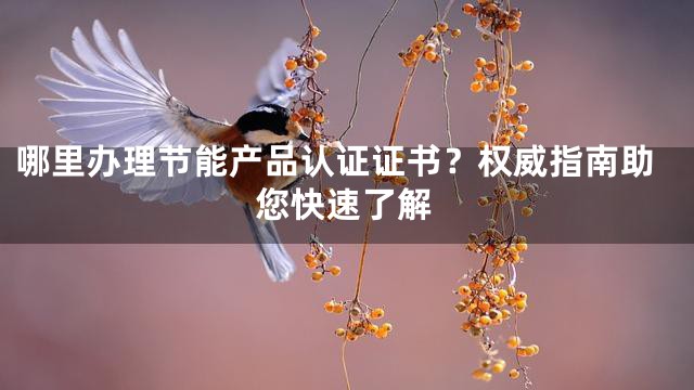 哪里办理节能产品认证证书？权威指南助您快速了解