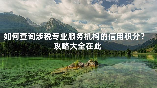 如何查询涉税专业服务机构的信用积分？攻略大全在此