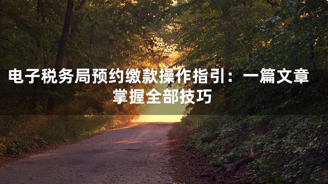 电子税务局预约缴款操作指引：一篇文章掌握全部技巧