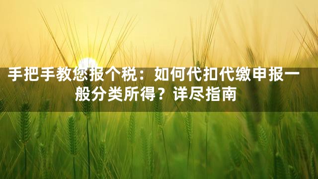 手把手教您报个税：如何代扣代缴申报一般分类所得？详尽指南