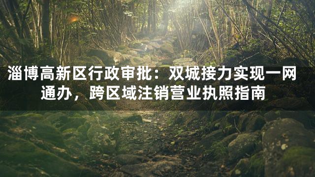 淄博高新区行政审批：双城接力实现一网通办，跨区域注销营业执照指南