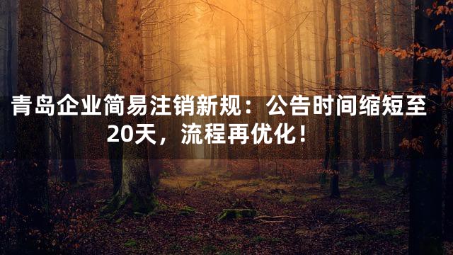 青岛企业简易注销新规：公告时间缩短至20天，流程再优化！