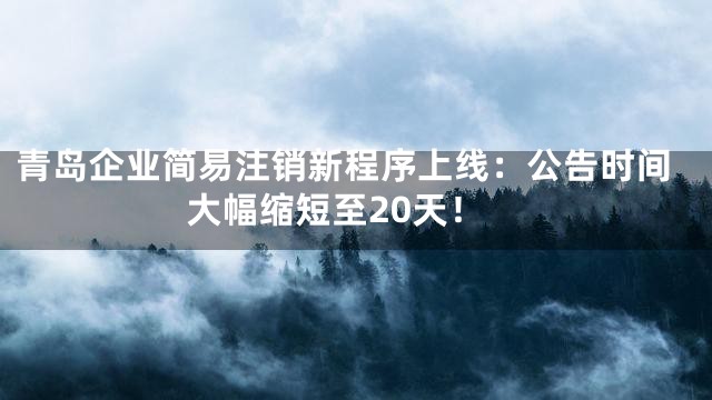 青岛企业简易注销新程序上线：公告时间大幅缩短至20天！