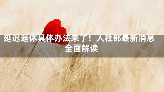 延迟退休具体办法来了！人社部最新消息全面解读