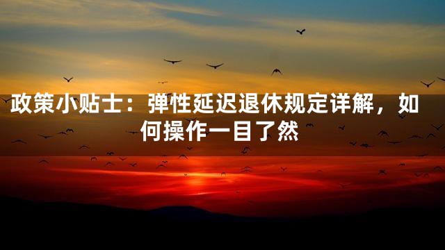 政策小贴士：弹性延迟退休规定详解，如何操作一目了然