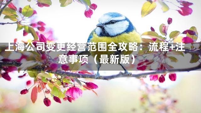 上海公司变更经营范围全攻略：流程+注意事项（最新版）