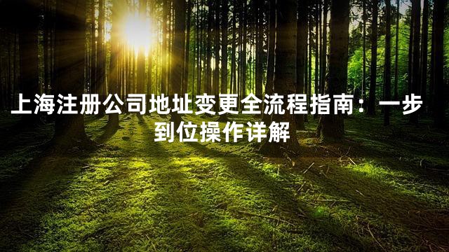 上海注册公司地址变更全流程指南：一步到位操作详解