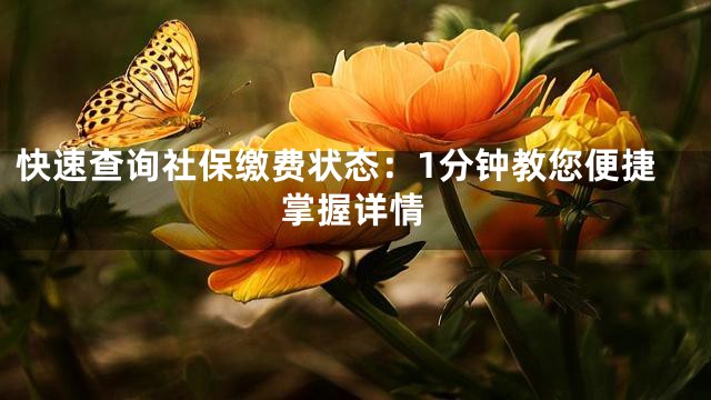 快速查询社保缴费状态：1分钟教您便捷掌握详情