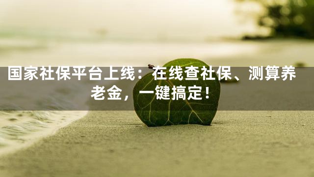 国家社保平台上线：在线查社保、测算养老金，一键搞定！